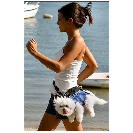 Small Dog Carrier. Last, for about $40 bucks, you can get this designer dog 