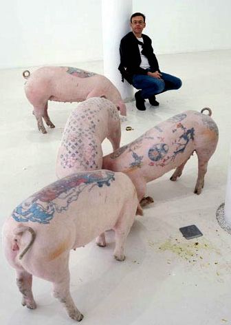 Wim Delvoye, a Belgian living in Beijing, raised and tattooed eight pigs 